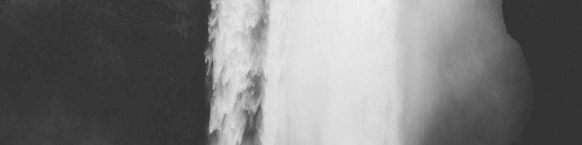 Jane Doe's cover photo